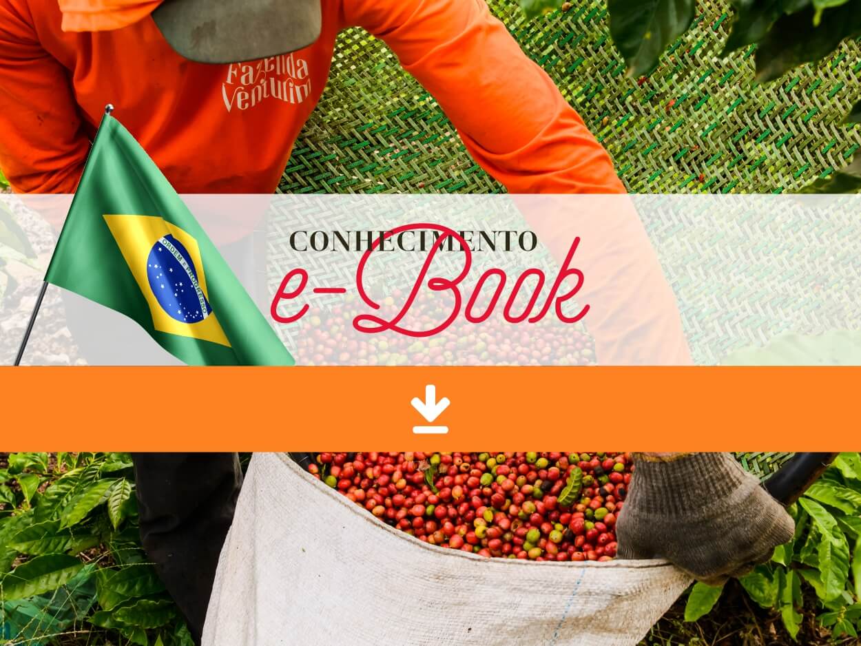 Livro apresenta pesquisas realizadas para o desenvolvimento de café conilon  e robusta